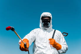 Trusted Laguna Park, TX Pest Control Experts